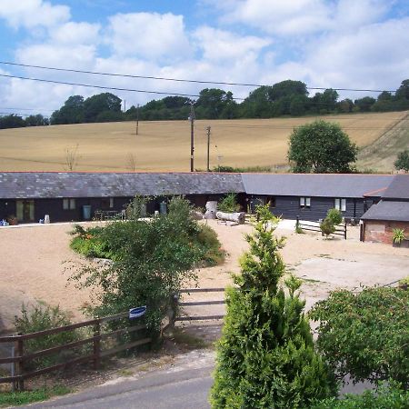 Five Cottages In Aonb And A Hobbit House! Canterbury Eksteriør bilde