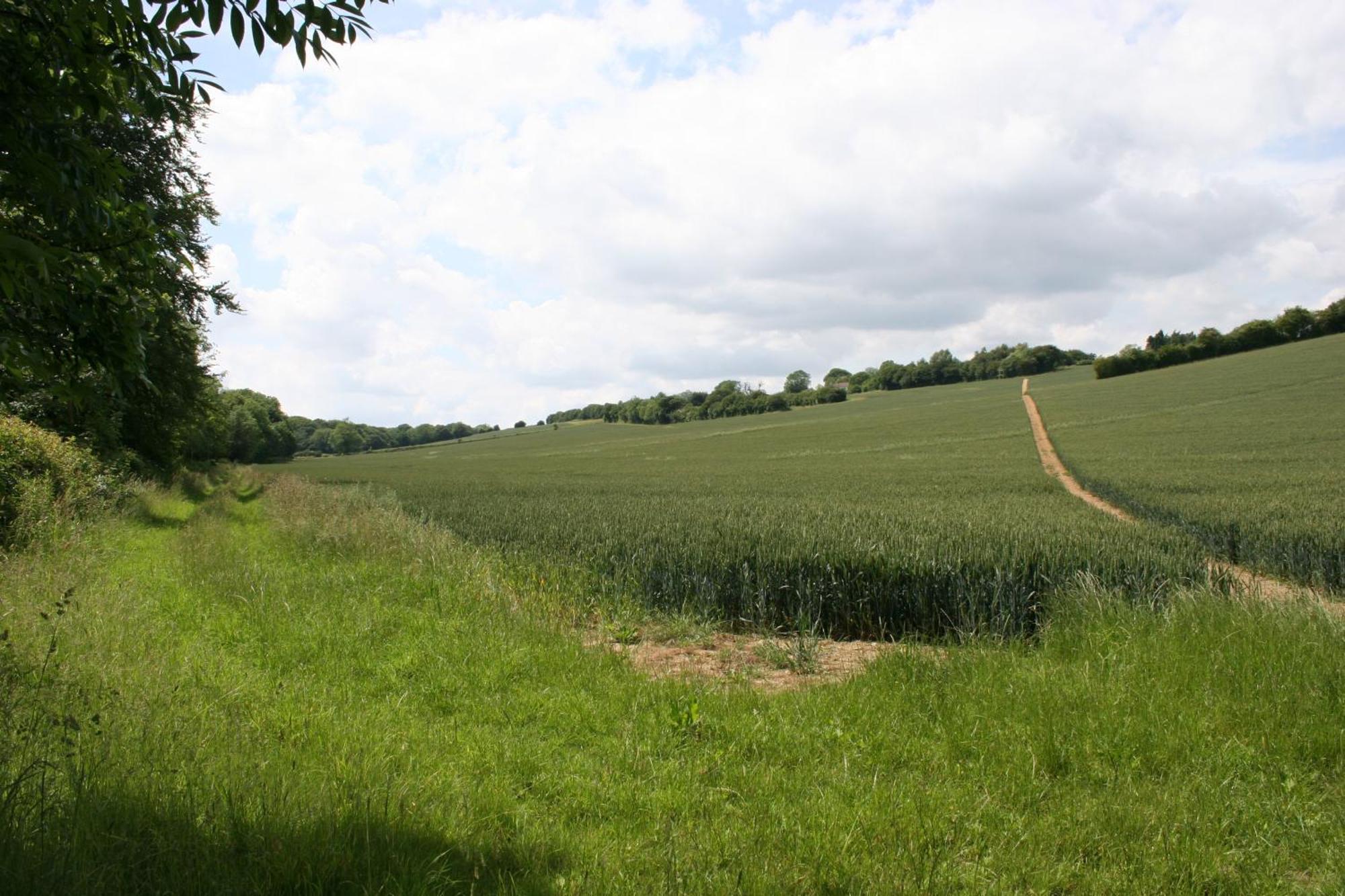 Five Cottages In Aonb And A Hobbit House! Canterbury Eksteriør bilde